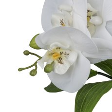 Orchid-bamboo arrangement x2, ca 60cm, white Real Touch, in cement pot Buddha 13x16cm grey