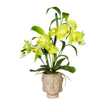 Orchid-bamboo arrangement x2, ca 60cm, green real touch, in cement pot Buddha 13x16cm grey