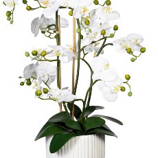 Orchid Phalaenopsis x12, ca 110cm, white, Real Touch, 12 leaves, with earth, in ceramic