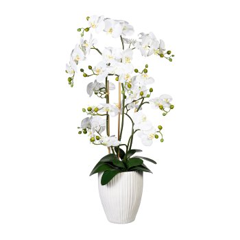 Orchidee Phalaenopsis x12, ca 110cm, weiß, Real Touch, 12 Bl., m. Erde, in Keramik Vase,