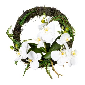Orchidee Wandkranz Phalaenopsis x9, ca 30, weiß, mit Wurzeln und Blättern, auf
