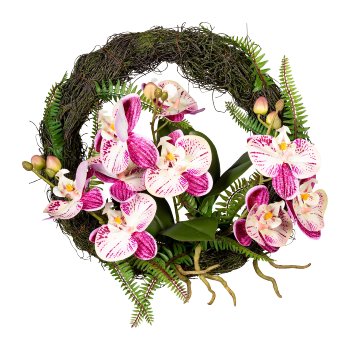 Orchid wall wreath Phalaenopsis x9, ca 30, cream lilac, with roots and leaves,