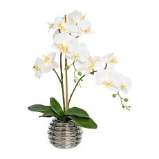 Phalaenopsis x3, ca 60cm, creme mit 9 LED, für 2xAA,im Keramiktopf silber 14x11cm mit