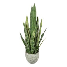 Sansevieria x9, ca 70cm, grün, Kunststoff, im Melamintopf 17,5x16cm, mit Erde