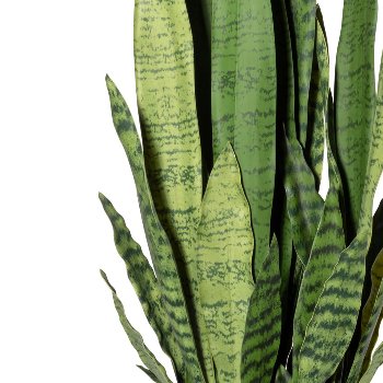 Sansevieria x10, ca 80cm, grün, Kunststoff, im Melamintopf 22,5x20cm, mit