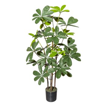 Strahlenaralie (Schefflera) ca 90cm, Kunststoff grün, im Kunststofftopf schwarz