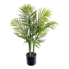 Mountain palm x3 ca 65cm,12 fronds plastic green, in plastic pot black 12.5x11.5cm,