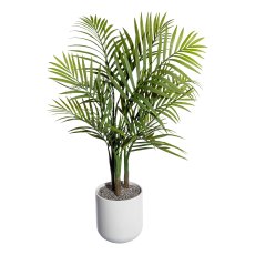 Mountain palm x3 ca 65cm,12 fronds plastic green, in plastic pot black 12.5x11.5cm,