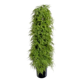 Asparagus pyramidalis ca 120cm, plastic green, in plastic pot black 18x17cm,