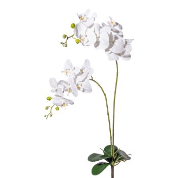 Orchid Phalaenopsis x2, ca 100cm, white, Real Touch, w. foliage and root