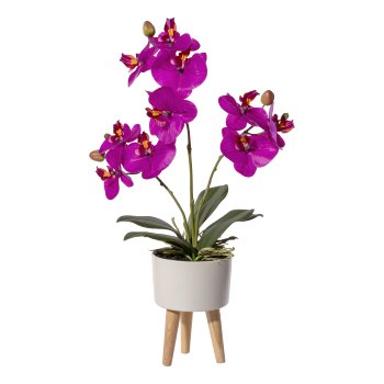 Orchid Phalaenopsis x3, ca 42cm purple, Real Touch, in ceramic bowl 10x6.5cm au