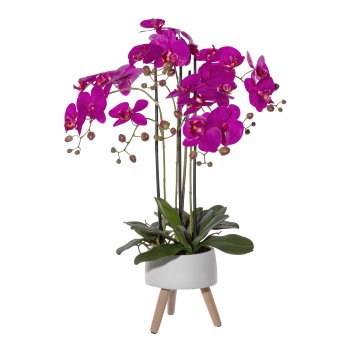 Orchidee Phalaenopsis x4, ca 75cm lila, Real Touch, in Keramikschale 18x9cm auf
