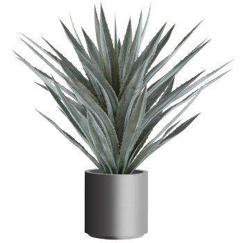 Agave tequilana x44, approx. 125cm green-grey, in plastic pot 34x34cm grey with soil