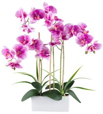 Phalaenopsis x3,ca 58cm orchid 20 Blüten, in Keramikkasten 20,5x8x8,5cm weiß, Real Touch