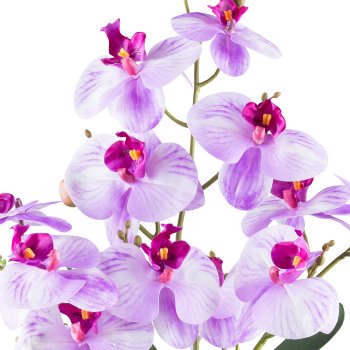 Phalaenopsisarrangement x4, ca 55cm violett, Real Touch in Keramikschale weiß 20x10cm