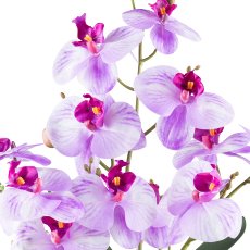 Phalaenopsisarrangement x4, ca 55cm violett, Real Touch in Keramikschale weiß 20x10cm