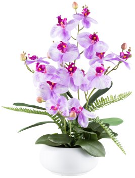 Phalaenopsisarrangement x4, ca 55cm violett, Real Touch in Keramikschale weiß 20x10cm