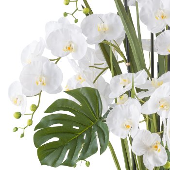 Phalaenopsis arrangement x7 120cm white, Real Touch in plastic pot 27x27cm cream