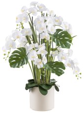 Phalaenopsis arrangement x7 120cm white, Real Touch in plastic pot 27x27cm cream