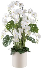 Phalaenopsis arrangement x9 140cm white, Real Touch in plastic pot 33x33cm cream
