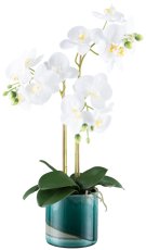 Phalaenopsis x2, ca 54cm weiß, im Keramiktopf grün 12x13cm Real Touch
