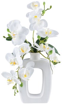 Phalaenopsis x5,ca 42cm, weiß in Keramikvase 21x13x6cm weiß Real Touch
