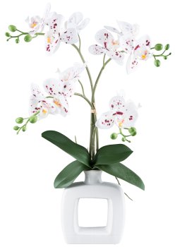 Phalaenopsis x4,ca 42cm, weiß-rot gepunktet Real Touch in Keramikvase 16x14x6cm weiß
