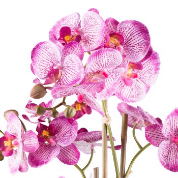Phalaenopsis x5, 62cm, orchid, in ceramic pot silver 15x13cm, Real Touch