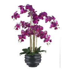 Phalaenopsis x7, 90cm, lilac, in plastic pot 25x20cm black Real Touch