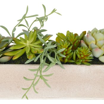Sukkulentenarrangement, 10cm, grün, Kunststoff, im Holzkasten 40x8x6cm