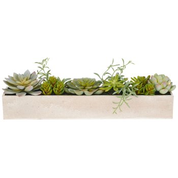 Sukkulentenarrangement, 10cm, grün, Kunststoff, im Holzkasten 40x8x6cm