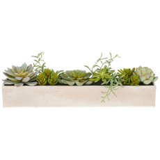 Sukkulentenarrangement, 10cm, grün, Kunststoff, im Holzkasten 40x8x6cm