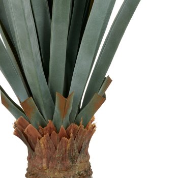 Agave angustifolia, 140cm, green-grey, in plastic pot 20x17cm, UV-resistant