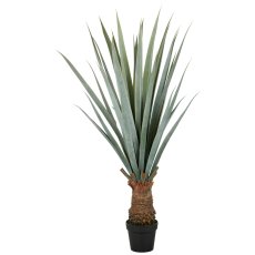 Agave angustifolia, 140cm, grüngrau, im Kunststofftopf 20x17cm, UV-beständig