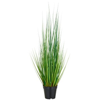 Miscanthus grass, approx. 90cm, green, in plastic pot 15x13cm, UV-resistant