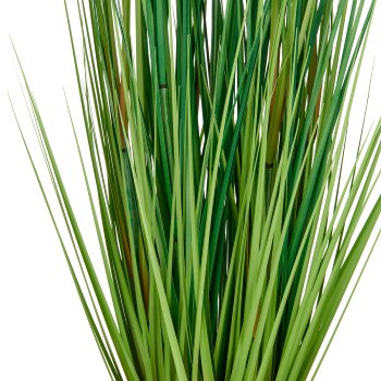 Miscanthus grass, approx. 115cm, green, in plastic pot 17x14.5cm, UV-resistant