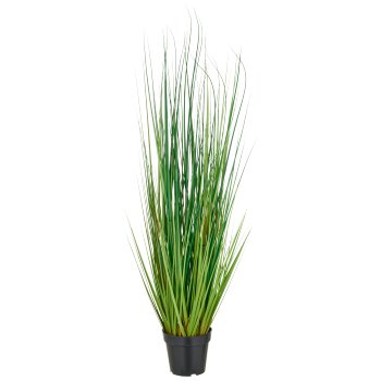 Miscanthus grass, approx. 115cm, green, in plastic pot 17x14.5cm, UV-resistant