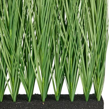Miscanthus grass room divider, 80cm, green, in hard foam block 38x12x11cm, UV-resistant