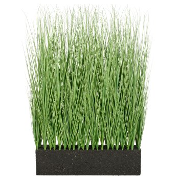 Miscanthusgras Raumteiler, 115cm, grün, im Hartschaumblock 72x15x18cm,