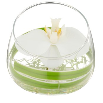 Phalaenopsisblüte, weiß, im Glas 11x12cm mit Resin