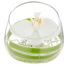 Phalaenopsisblüte, weiß, im Glas 11x12cm mit Resin