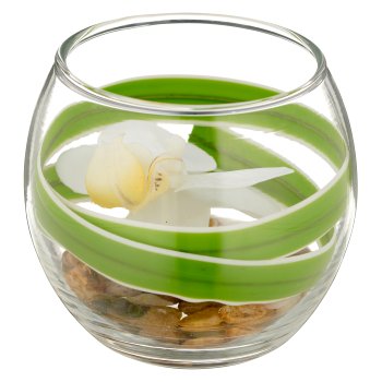 Phalaenopsis flower, white, in glass 7x8cm with resin