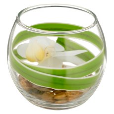 Phalaenopsis flower, white, in glass 7x8cm with resin