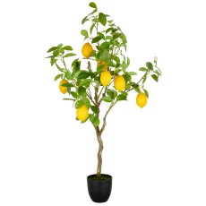 Zitronenbaum x7, 115cm, grün, im Kunststofftopf 16x15cm