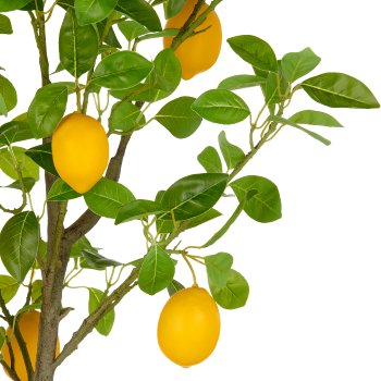 Lemon tree x10, 145cm, green, in plastic pot 18x16.5cm