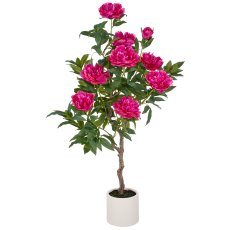 Peonies tall stem x9, 120cm, fuchsia, in plastic pot 17.5x17.5cm cream