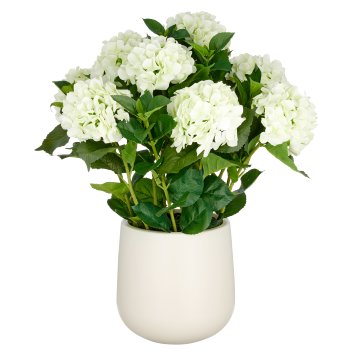 Hortensien Arrangement x9, 70cm, cremegrün, Real Touch, im Kunststofftopf 24x26cm