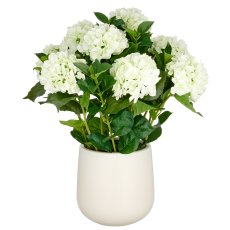 Hortensien Arrangement x9, 70cm, cremegrün, Real Touch, im Kunststofftopf 24x26cm