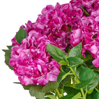 Hortensien Arrangement x9, 70cm, purple, Real Touch, im Kunststofftopf 24x26cm creme