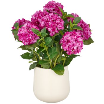 Hortensien Arrangement x9, 70cm, purple, Real Touch, im Kunststofftopf 24x26cm creme